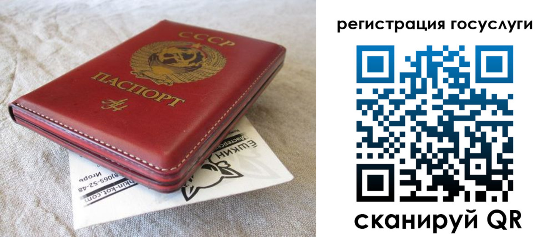 регистрация для школы в Елизово