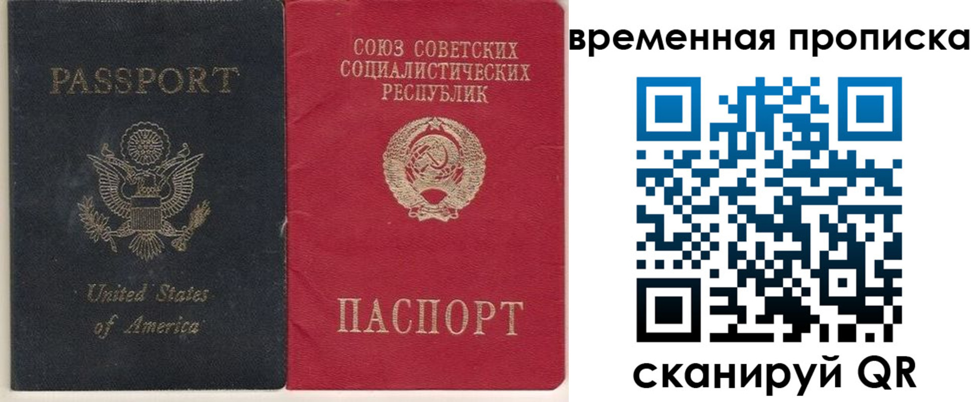 прописка для школы в Елизово